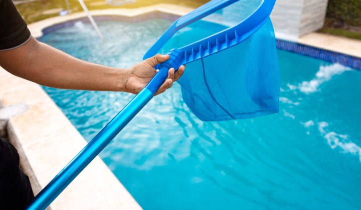 A person using a blue skimmer net to remove floating debris from the surface of a sparkling outdoor pool.