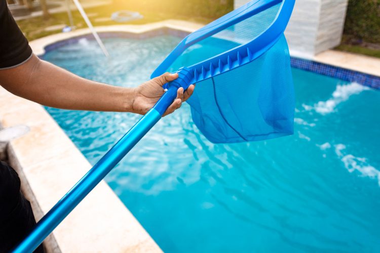A person using a blue skimmer net to remove floating debris from the surface of a sparkling outdoor pool.